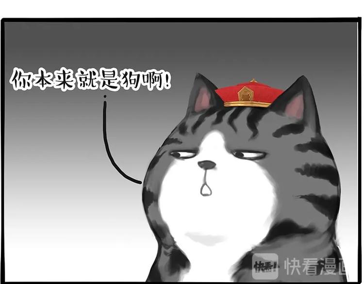 第197话猫怼狗5