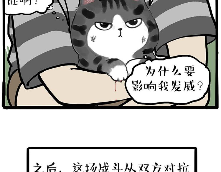 第219话少年侠.你给我爬！9