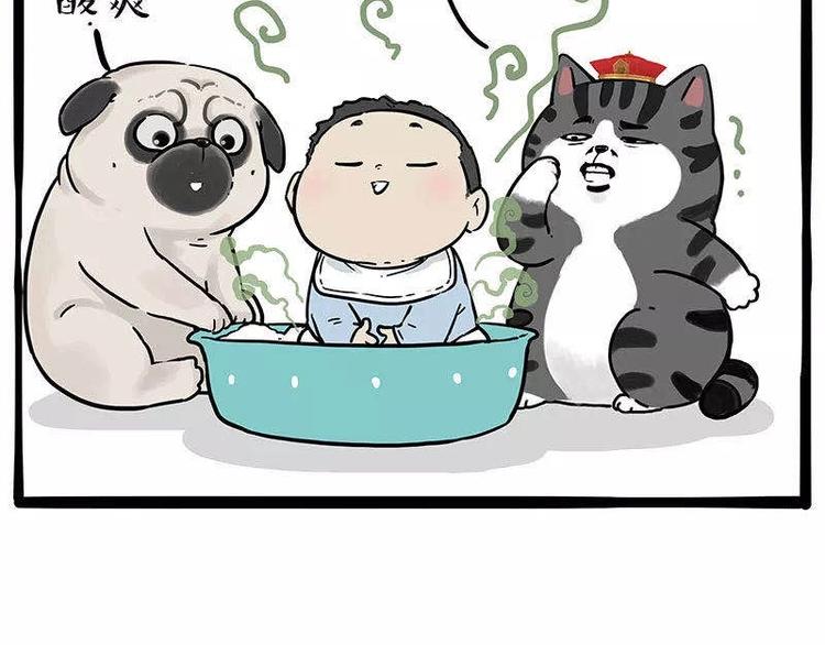 第191话猫猫无证看孩子？！5