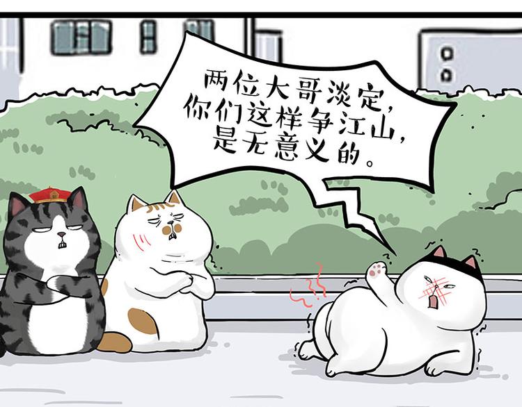 第277话猫斗猫0