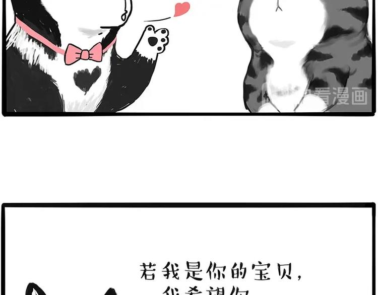 第197话猫怼狗8