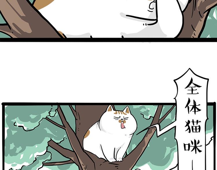 第271话进击的流浪猫！5