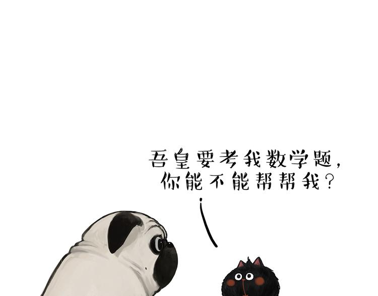 第51话猫和狗的待遇就是不同0