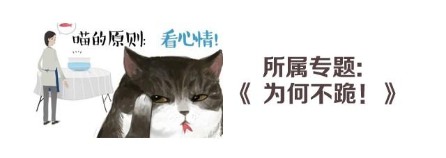 第3话猪一样的狗队友2