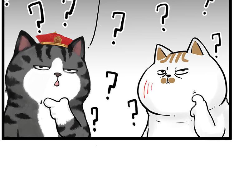 第277话猫斗猫7