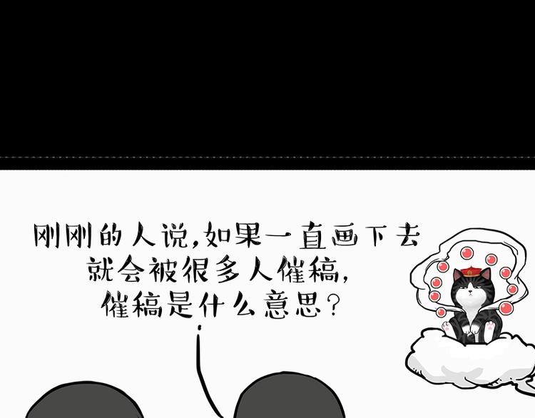 第205话一切都是猫的安排3