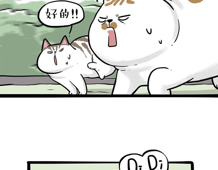 第271话进击的流浪猫！9