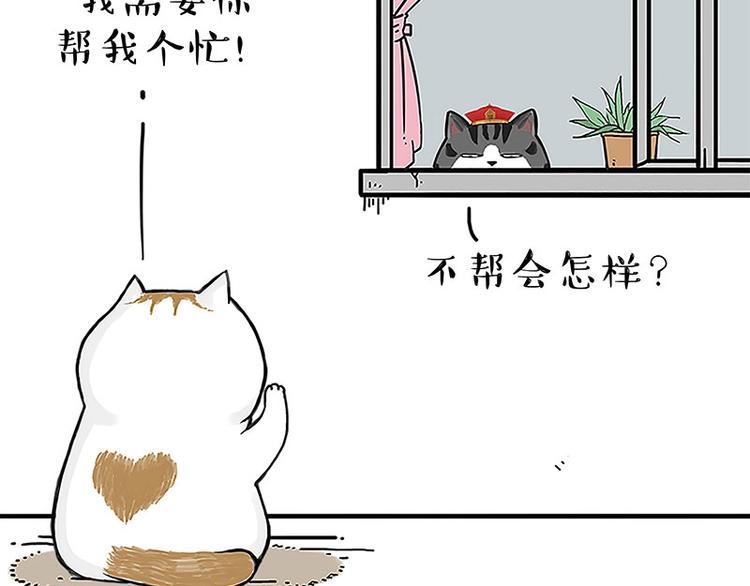 第167话猫王争霸赛2