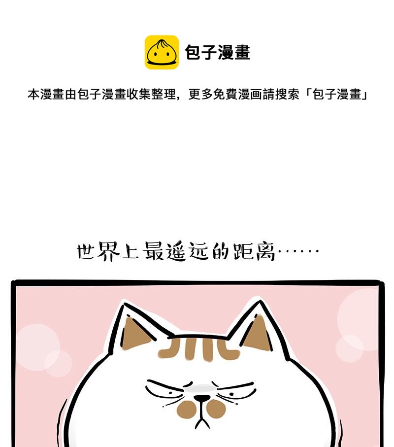 第320话猫孵鱼0