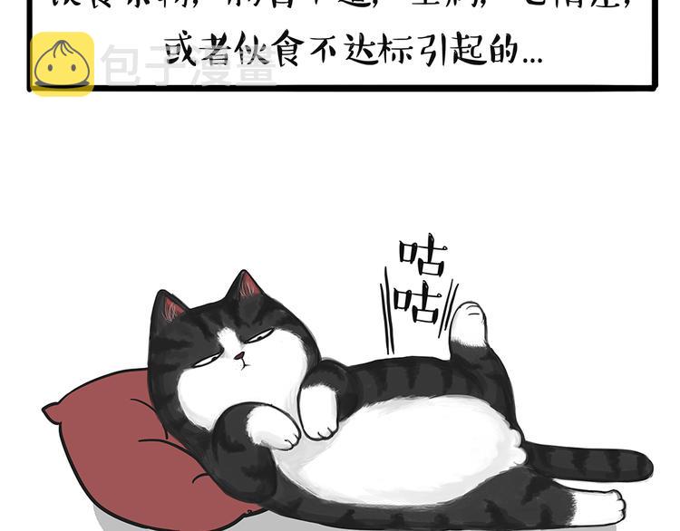 第51话猫和狗的待遇就是不同9