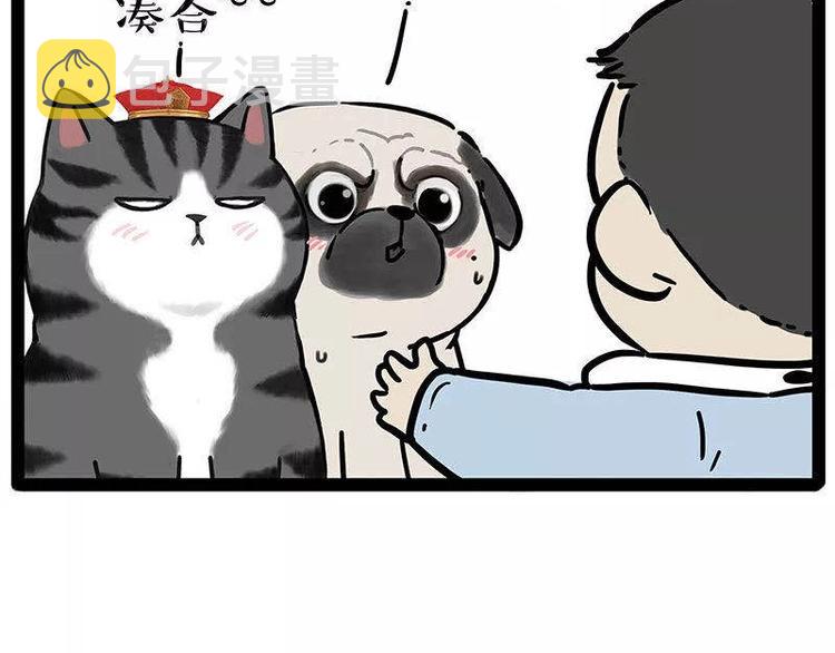 第191话猫猫无证看孩子？！3