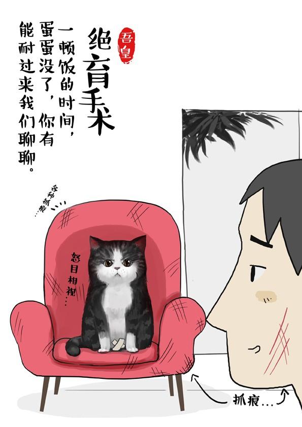 第2话傲娇是猫的原则1