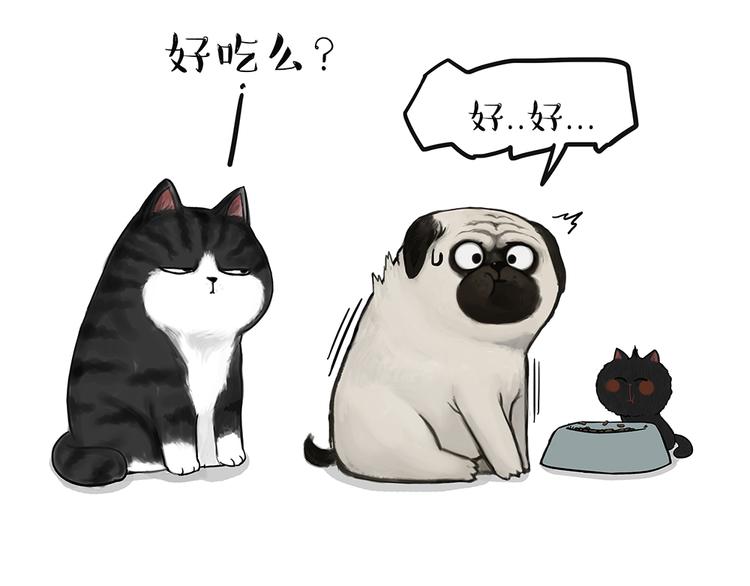 第51话猫和狗的待遇就是不同2