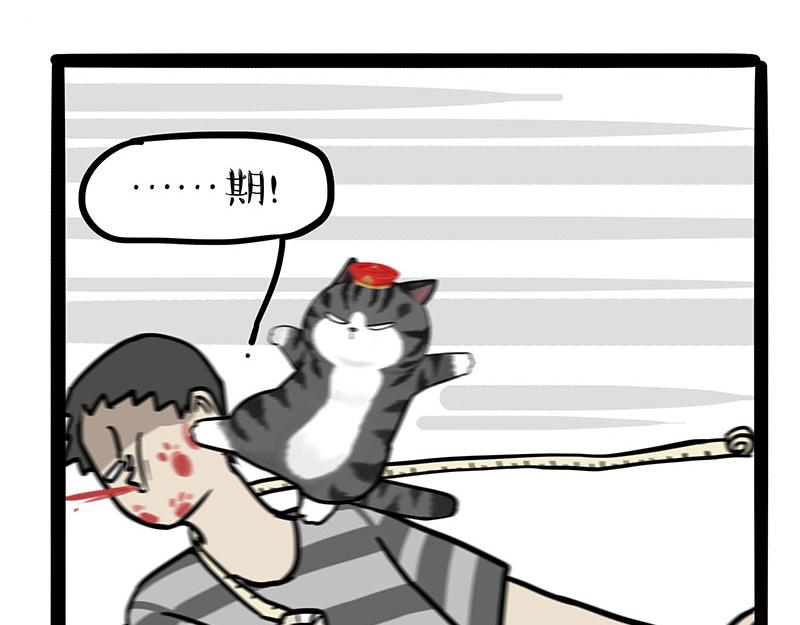 第296话披着虎皮的猫5