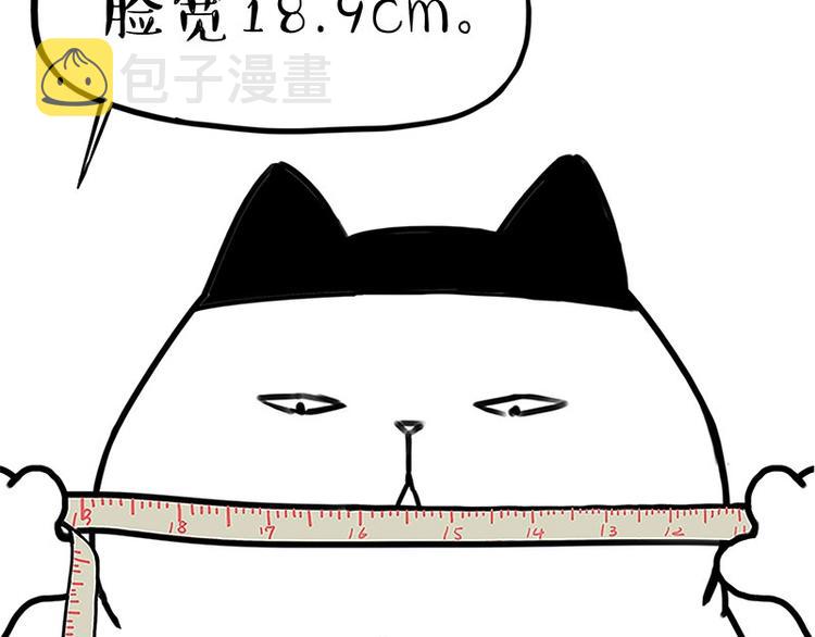 第167话猫王争霸赛9