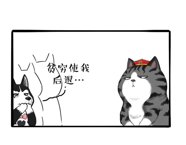 第197话猫怼狗1