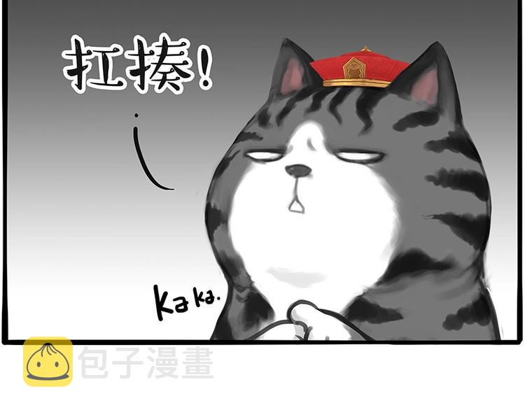 第197话猫怼狗5