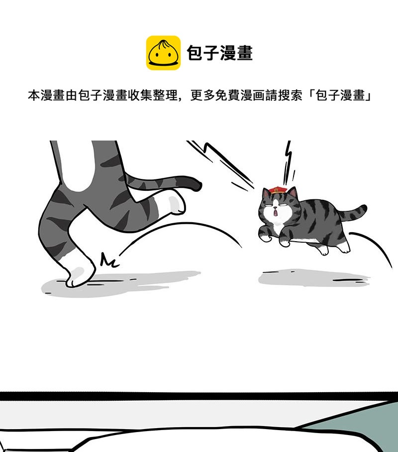 第325话你不守猫德0