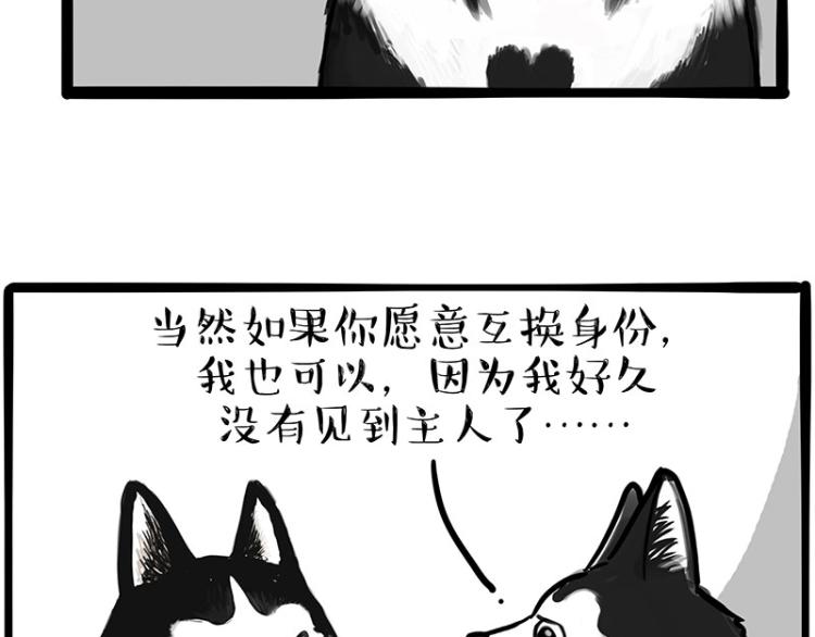 第289话吹牛狗真牛3