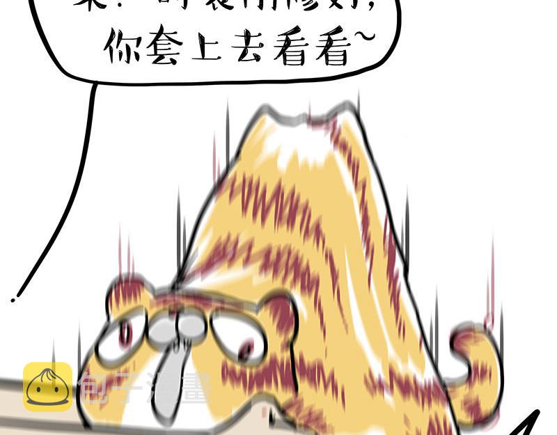 第296话披着虎皮的猫9