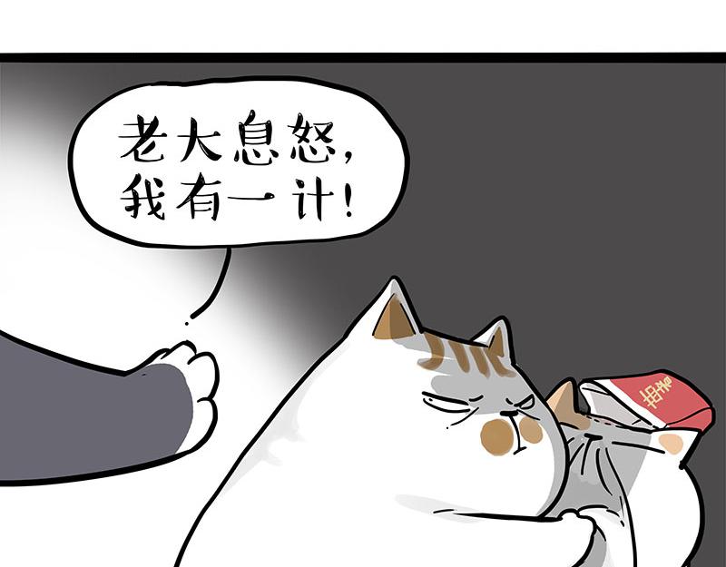 第320话猫孵鱼4