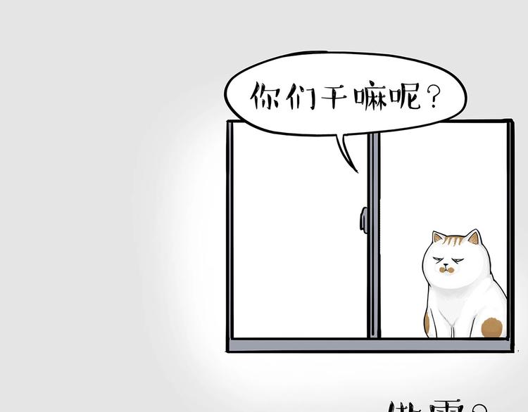 第202话谁动了吾皇的猫粮3