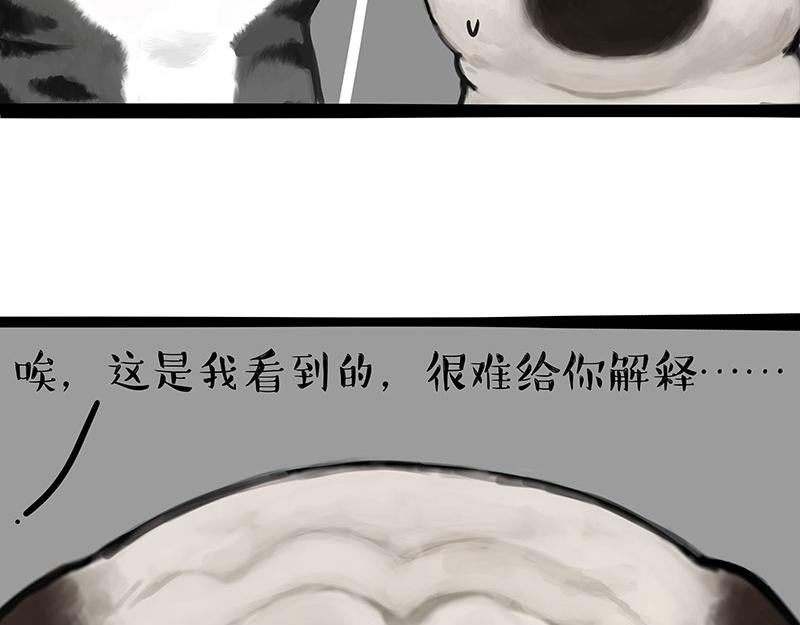 第307话面相大解析1