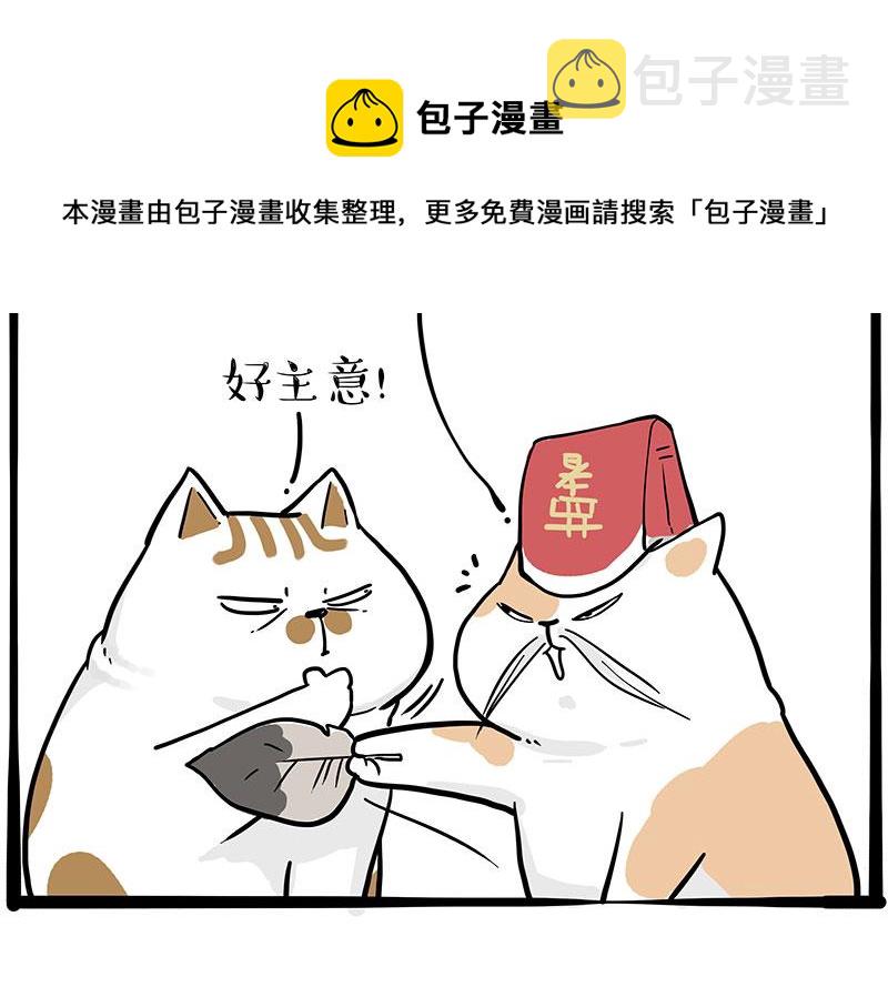 第320话猫孵鱼8