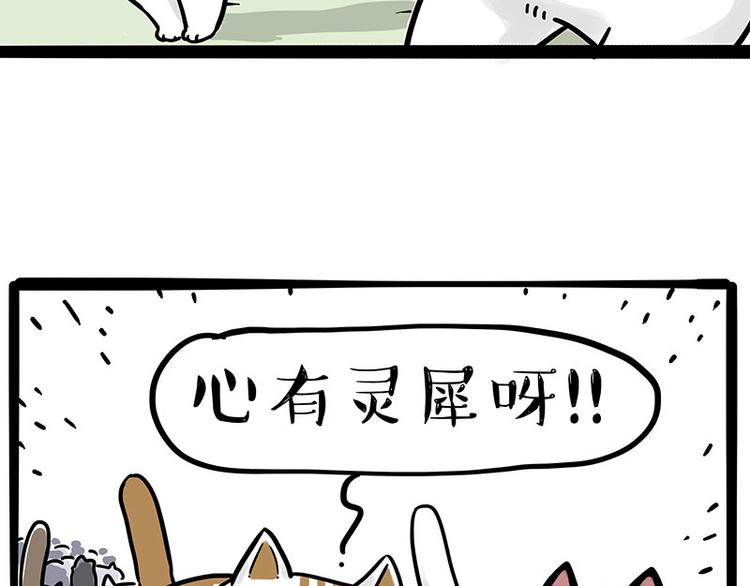 第271话进击的流浪猫！6