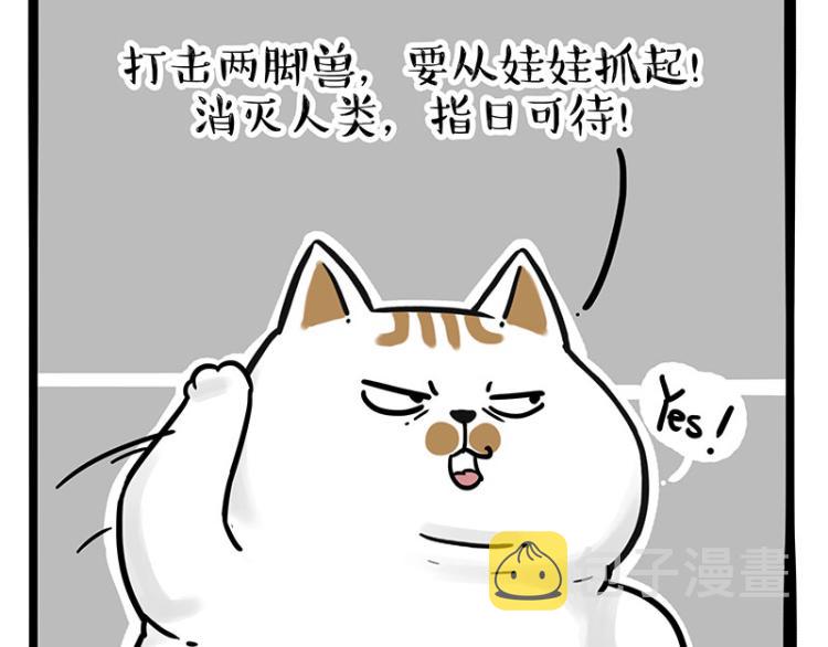 第290话凶恶猫猫组织1