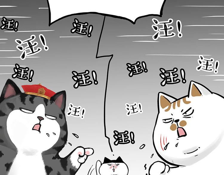 第277话猫斗猫5