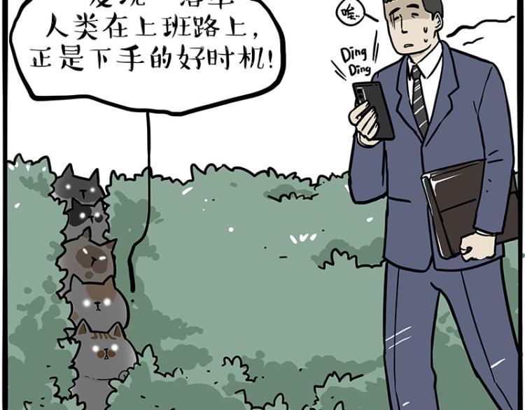 第290话凶恶猫猫组织2