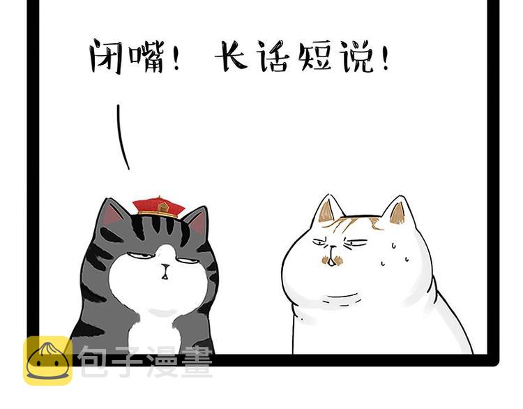 第167话猫王争霸赛8