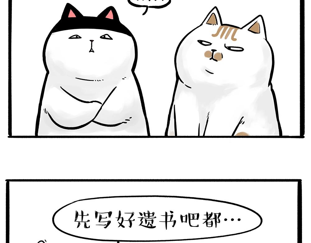 第331话猫王争霸之“杀青”7