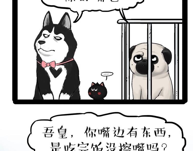 第202话谁动了吾皇的猫粮9