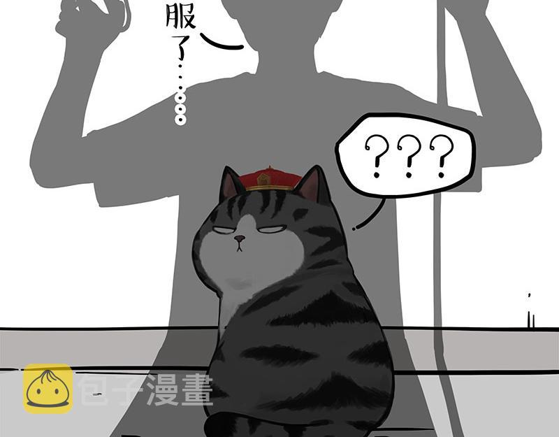 第296话披着虎皮的猫4