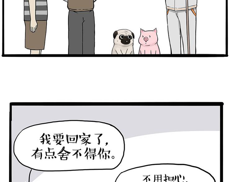 第247话巴扎猪7