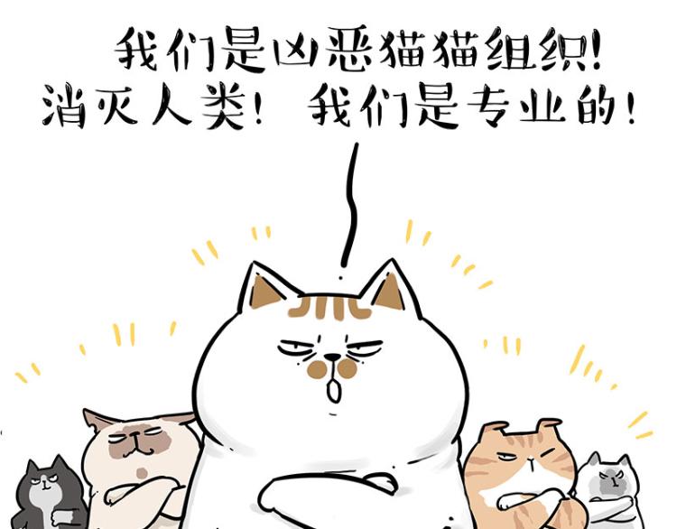 第290话凶恶猫猫组织3