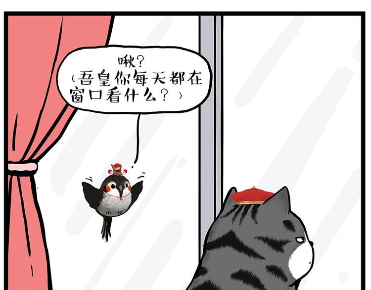 第277话猫斗猫0