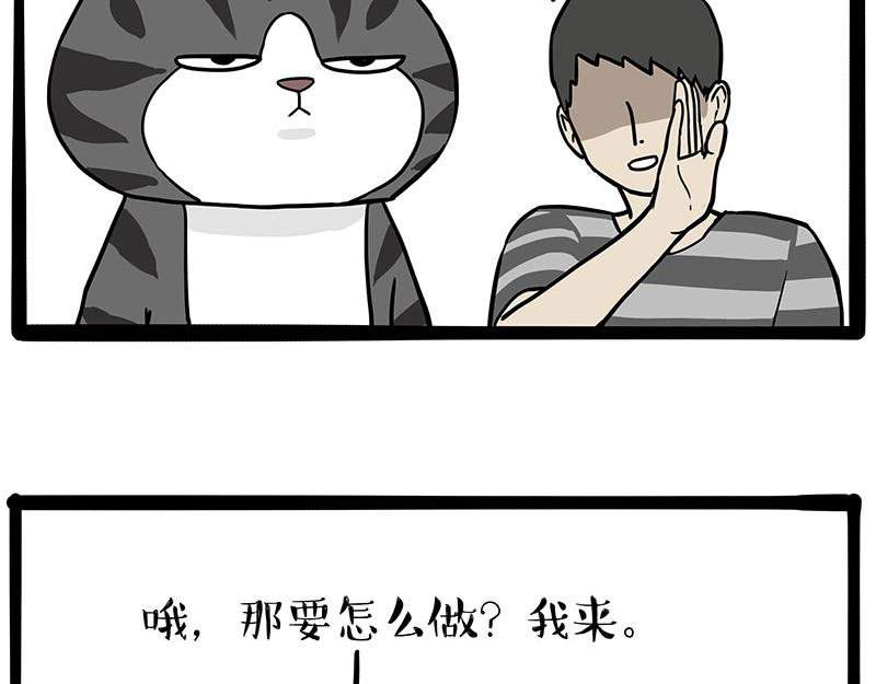 第325话你不守猫德9