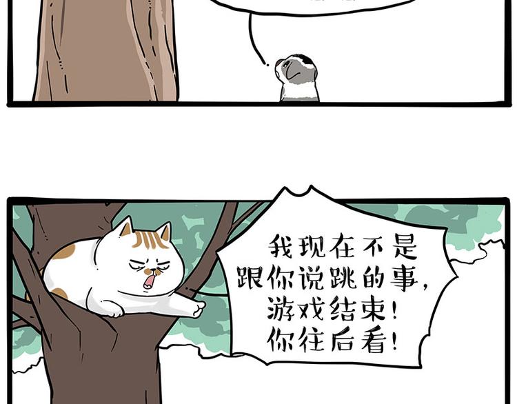 第271话进击的流浪猫！1