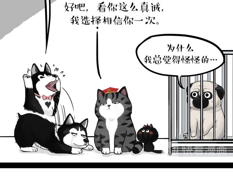 第202话谁动了吾皇的猫粮7