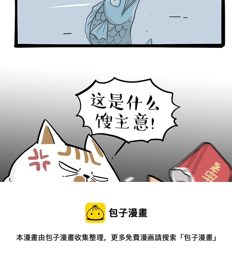 第320话猫孵鱼2