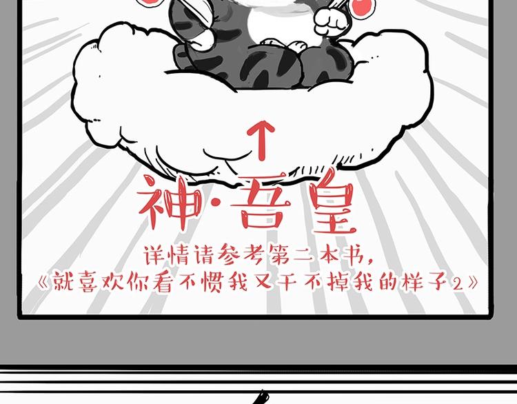 第205话一切都是猫的安排6