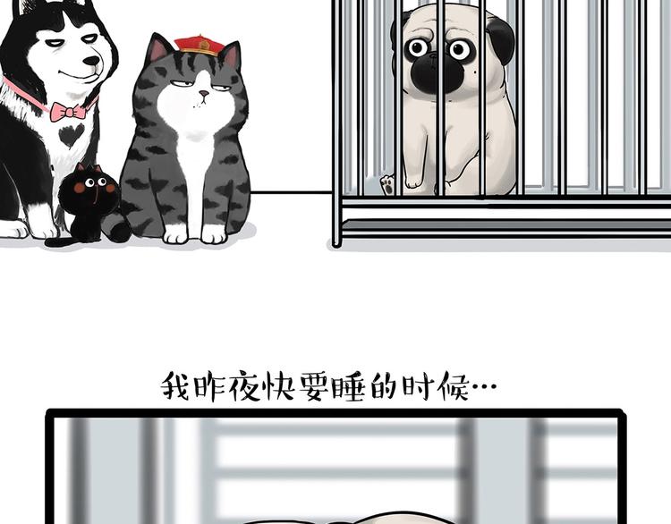 第202话谁动了吾皇的猫粮4