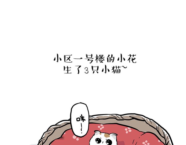 第275话吾皇过生日了0