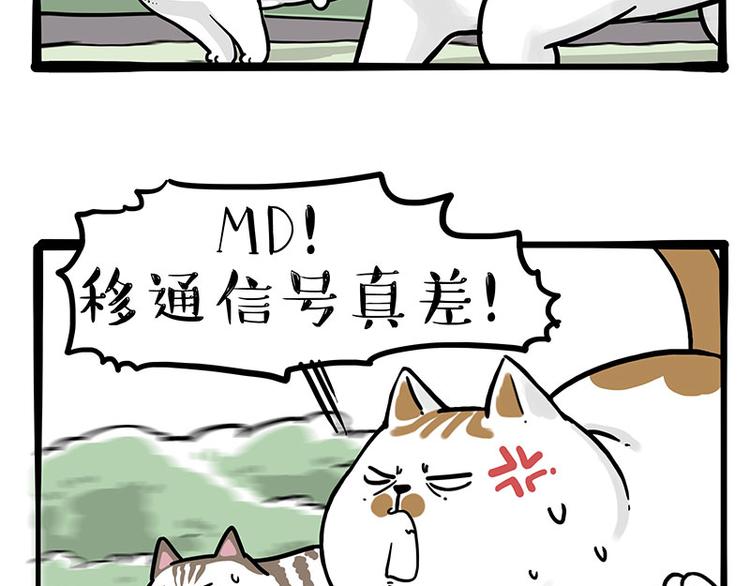 第271话进击的流浪猫！3