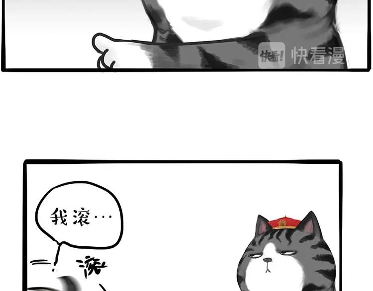 第197话猫怼狗4