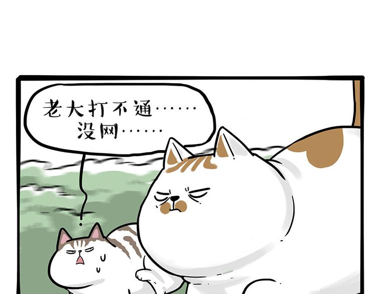 第271话进击的流浪猫！2