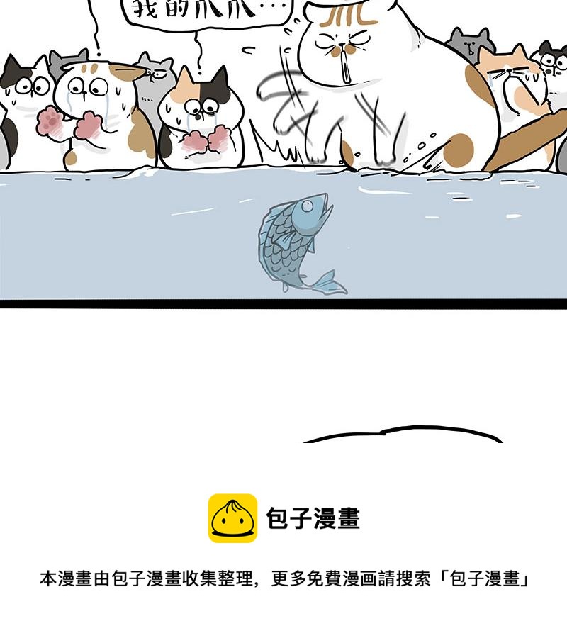 第320话猫孵鱼4